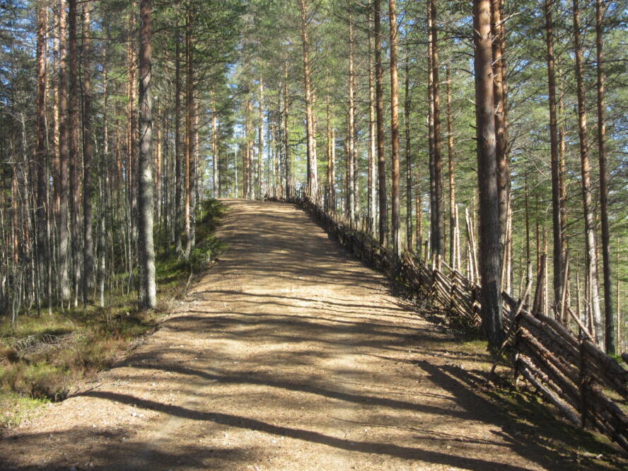 Aurinkoinen pururata nousee vastamäkeen. Oikeassa reunassa kulkee pisteaita.