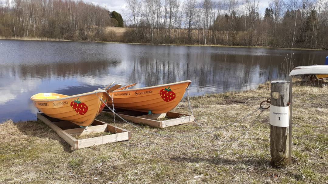 Kaksi Suonenjoen kaupunkivenettä rannalla. Veneissä mansikat.