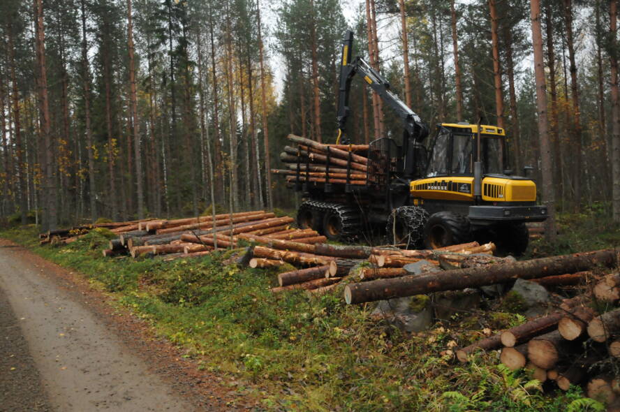 Metsäkone kuormaa puita.