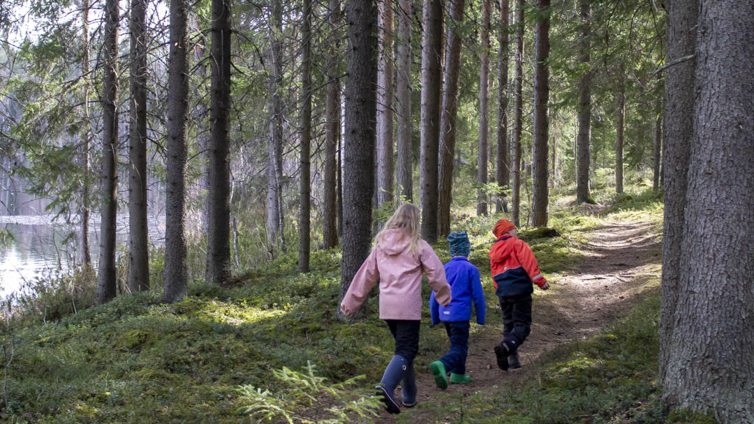 Kolme lasta kulkee puiden lomassa kulkevaa jokipolkua.