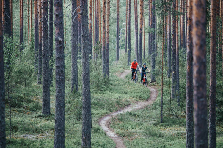 Mies ja nainen, kaksi maastopyöräilijää lähestyvät metsässä kulkevaa kapeaa polkua pitkin.