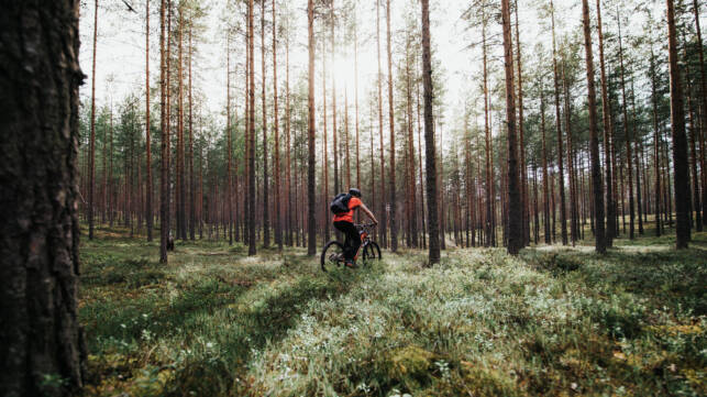 Pyöräilijä ajaa metsäpolkua.