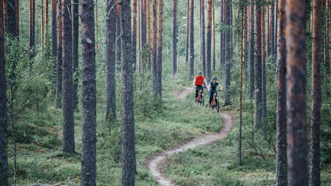 Kaksi pyöräilijää metsäpolulla.