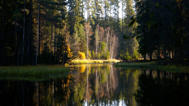Alkusyksyn maisema Suonenjoella.
