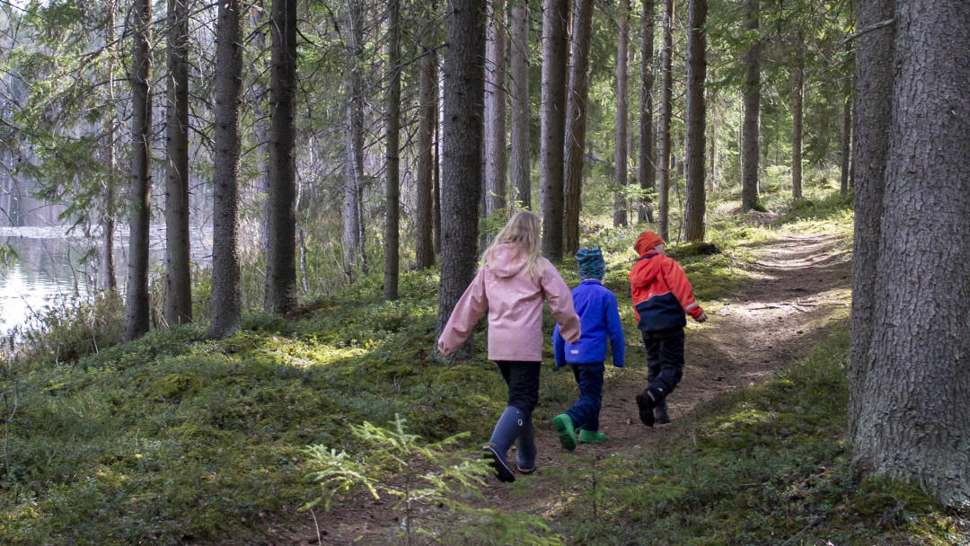 Kolme lasta kävelee metsäpolulla selät kameraan päin.