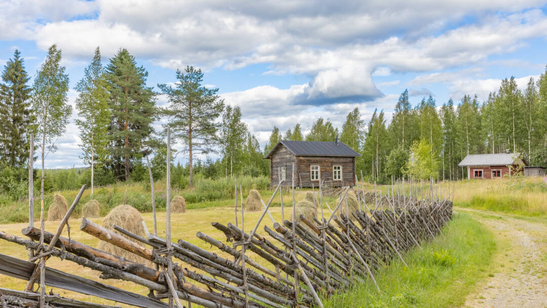 maalaismaisema