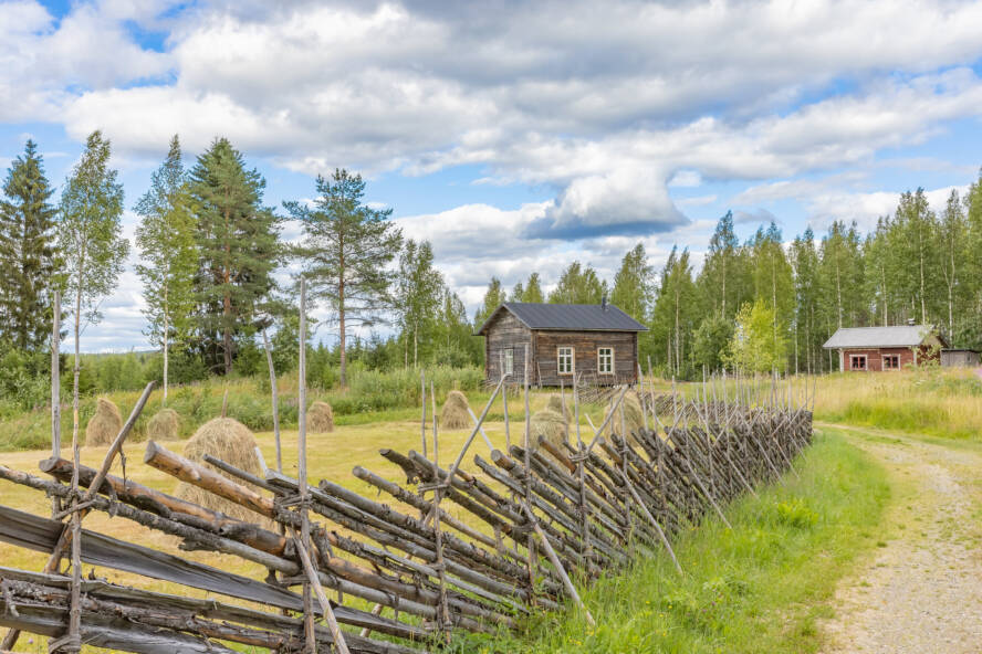 maalaismaisema