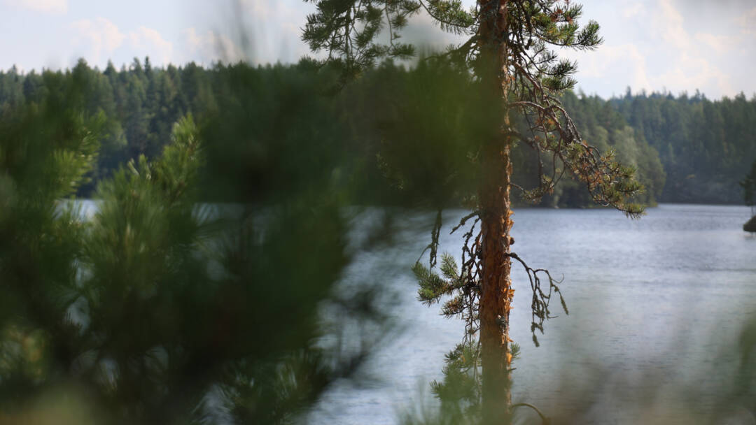 järvinäkymä