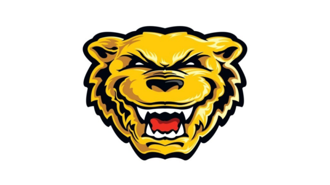 kiekko-karhut logo