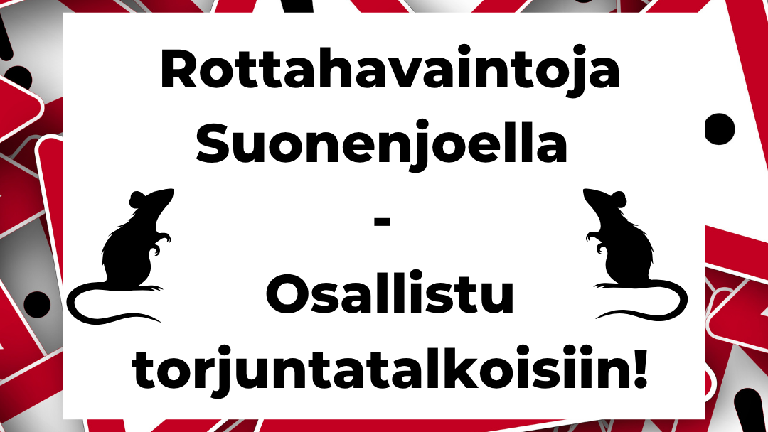 rottaongelma kuvituskuva