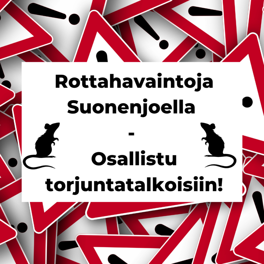 rottaongelma kuvituskuva
