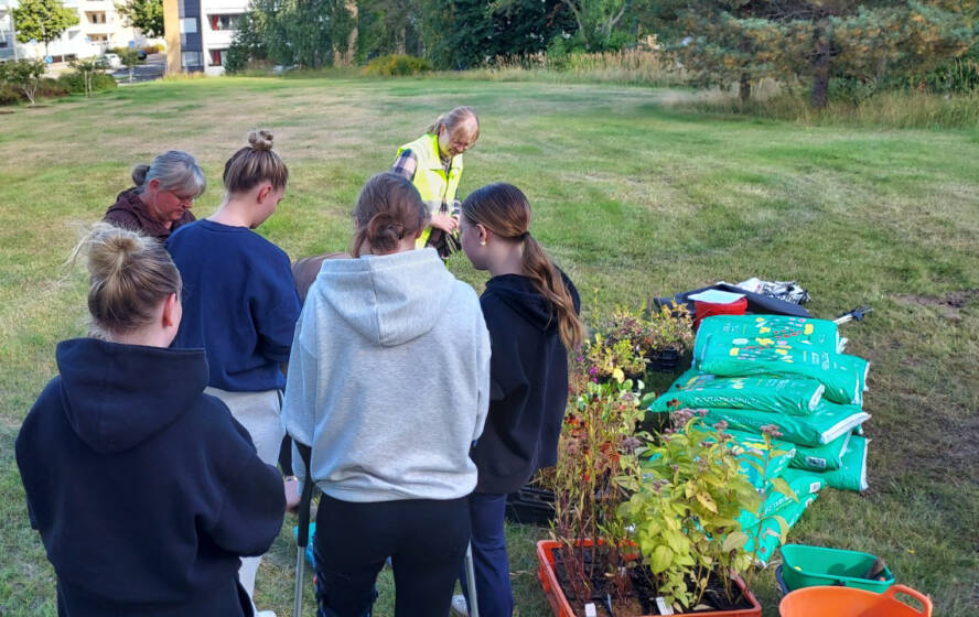 Lukiolaisia Ystävyydenpuistossa istutuksen ääressä kuuntelemassa ohjeita. Nuoret selin kameraan.