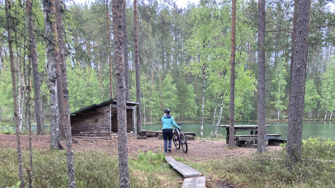 palolammen laavu, metsän keskellä, lammen rannalla, kuvan alalaidassa pitkospuut ja pitkospuiden päädyssä maastopyörää taluttava nainen sinisessä takissa.